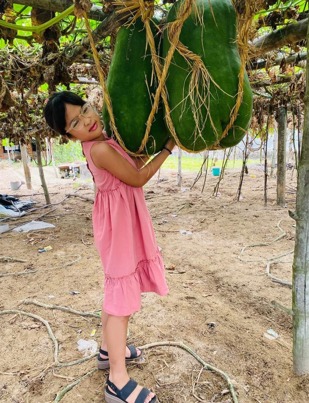 Lạc vào làng bí đao khổng lồ